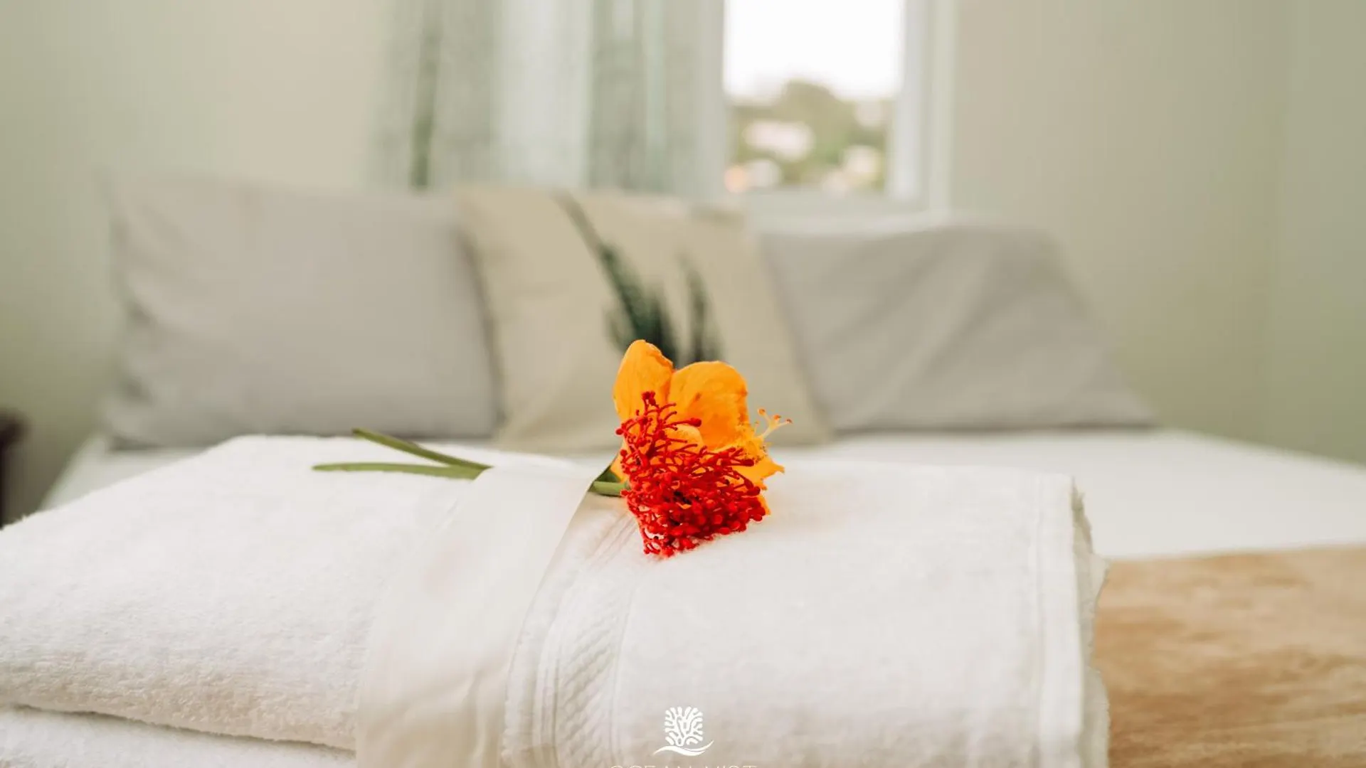 Appartamento Ocean Mist Suites Arnos Vale